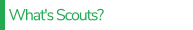 What's Scouts?