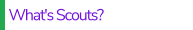 What's Scouts?