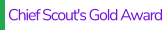 Chief Scout's Gold Award