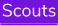Scouts