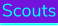 Scouts